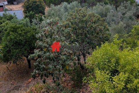Farm hus i Nelas, Viseu, Nelas - € 180.000 | Ref: CA456660 - foto 3
