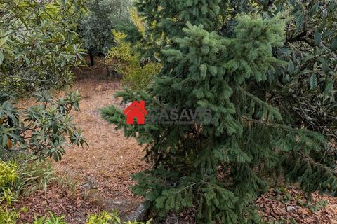 Farm hus i Nelas, Viseu, Nelas - € 180.000 | Ref: CA456660 - foto 4