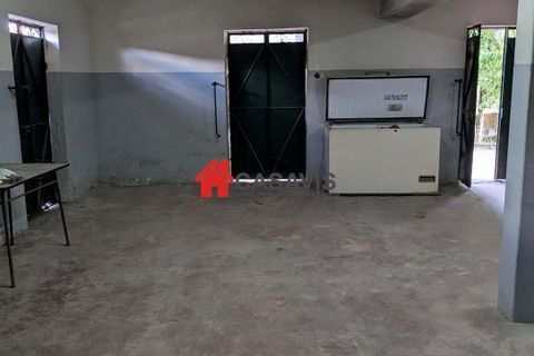 Farm hus i Nelas, Viseu, Nelas - € 180.000 | Ref: CA456660 - foto 19