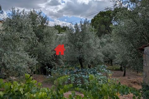 Farm hus i Nelas, Viseu, Nelas - € 180.000 | Ref: CA456660 - foto 27