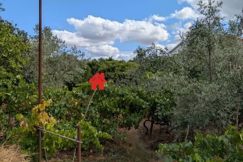 Farm hus i Nelas, Viseu, Nelas - € 180.000 | Ref: CA456660 - foto 28