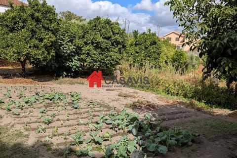 Farm hus i Nelas, Viseu, Nelas - € 180.000 | Ref: CA456660 - foto 30