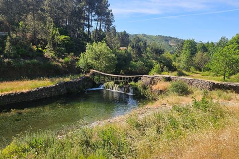 Farm hus i Casegas e Ourondo, Castelo Branco, Casegas e Ourondo - € 255.000 | Ref: C0431-00718 - foto 5