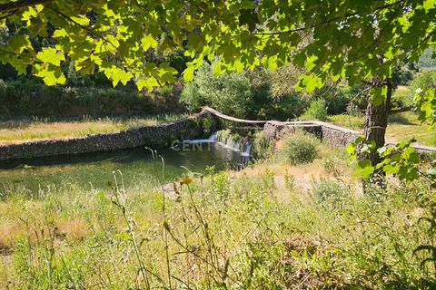 Farm hus i Casegas e Ourondo, Castelo Branco, Casegas e Ourondo - € 255.000 | Ref: C0431-00718 - foto 6