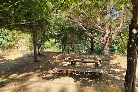 Farm hus i Casegas e Ourondo, Castelo Branco, Casegas e Ourondo - € 255.000 | Ref: C0431-00718 - foto 9