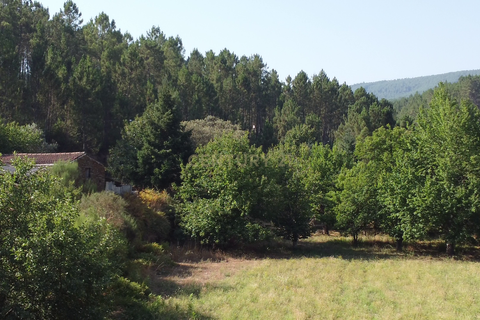 Farm hus i Casegas e Ourondo, Castelo Branco, Casegas e Ourondo - € 255.000 | Ref: C0431-00718 - foto 13