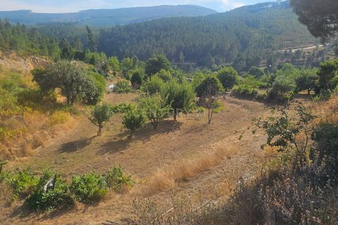 Farm hus i Casegas e Ourondo, Castelo Branco, Casegas e Ourondo - € 255.000 | Ref: C0431-00718 - foto 16