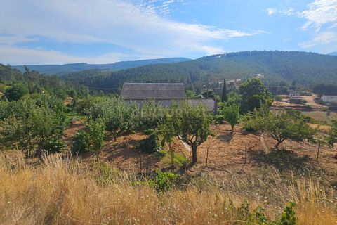 Farm hus i Casegas e Ourondo, Castelo Branco, Casegas e Ourondo - € 255.000 | Ref: C0431-00718 - foto 17