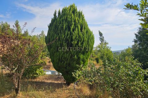 Farm hus i Casegas e Ourondo, Castelo Branco, Casegas e Ourondo - € 255.000 | Ref: C0431-00718 - foto 18