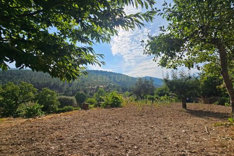 Farm hus i Casegas e Ourondo, Castelo Branco, Casegas e Ourondo - € 255.000 | Ref: C0431-00718 - foto 20