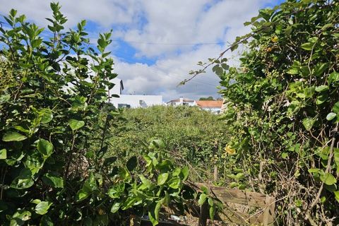 Terra a Lagoa, Sao Miguel, Lagoa - € 240.000 | Ref: AZ97866FR - foto 15