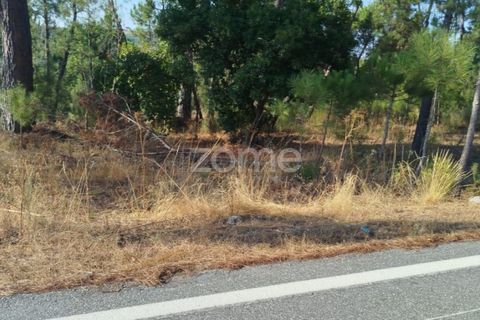 Helårsgrund i Mangualde, Viseu, Mangualde - € 67.500 | Ref: ZMPT580357 - foto 20