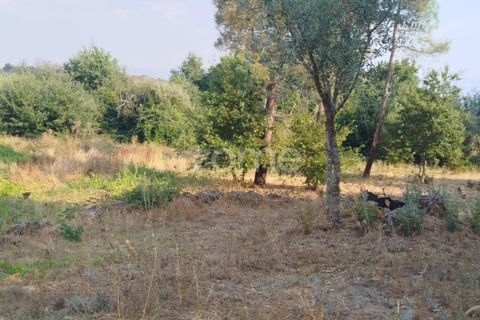 Helårsgrund i Mangualde, Viseu, Mangualde - € 67.500 | Ref: ZMPT580357 - foto 21