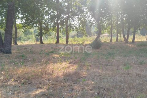 Helårsgrund i Mangualde, Viseu, Mangualde - € 67.500 | Ref: ZMPT580357 - foto 23