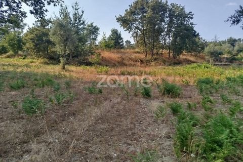 Helårsgrund i Mangualde, Viseu, Mangualde - € 67.500 | Ref: ZMPT580357 - foto 25