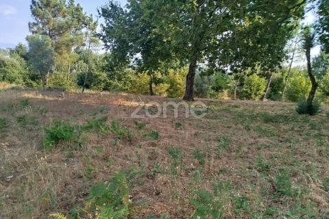 Helårsgrund i Mangualde, Viseu, Mangualde - € 67.500 | Ref: ZMPT580357 - foto 26