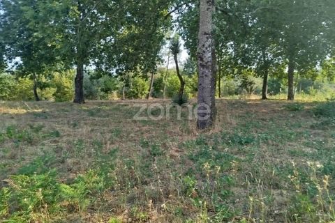 Helårsgrund i Mangualde, Viseu, Mangualde - € 67.500 | Ref: ZMPT580357 - foto 27