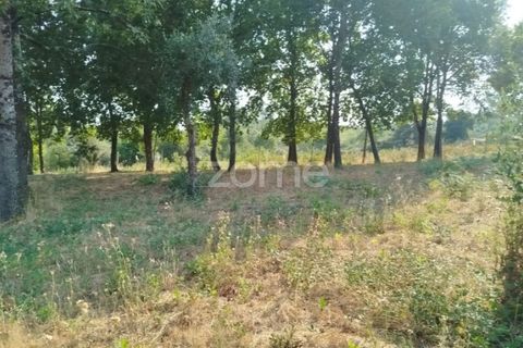 Helårsgrund i Mangualde, Viseu, Mangualde - € 67.500 | Ref: ZMPT580357 - foto 28