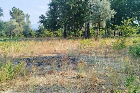 Helårsgrund i Mangualde, Viseu, Mangualde - € 67.500 | Ref: ZMPT580357 - foto 30