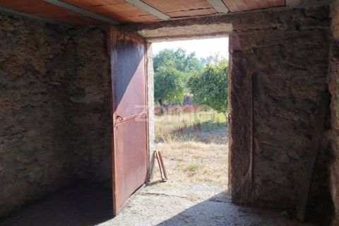 Helårsgrund i Mangualde, Viseu, Mangualde - € 67.500 | Ref: ZMPT580357 - foto 14