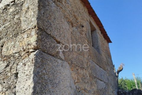 Helårsgrund i Mangualde, Viseu, Mangualde - € 67.500 | Ref: ZMPT580357 - foto 15