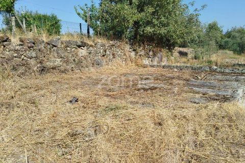 Helårsgrund i Mangualde, Viseu, Mangualde - € 67.500 | Ref: ZMPT580357 - foto 16
