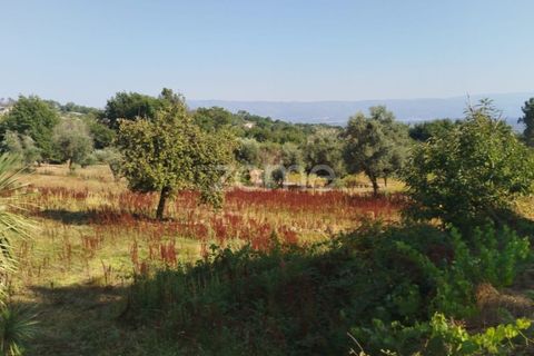Helårsgrund i Mangualde, Viseu, Mangualde - € 67.500 | Ref: ZMPT580357 - foto 11