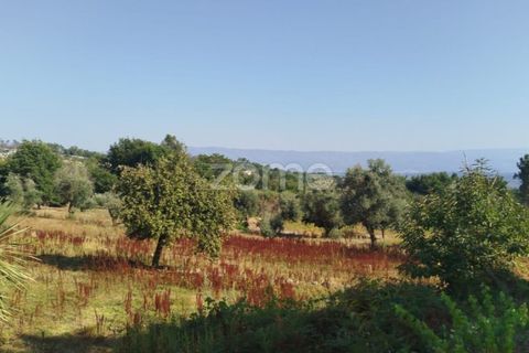 Helårsgrund i Mangualde, Viseu, Mangualde - € 67.500 | Ref: ZMPT580357 - foto 12