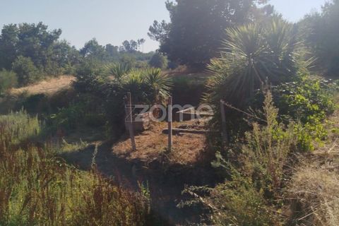Helårsgrund i Mangualde, Viseu, Mangualde - € 67.500 | Ref: ZMPT580357 - foto 1