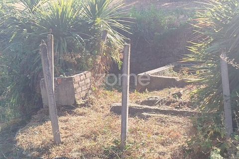Helårsgrund i Mangualde, Viseu, Mangualde - € 67.500 | Ref: ZMPT580357 - foto 2