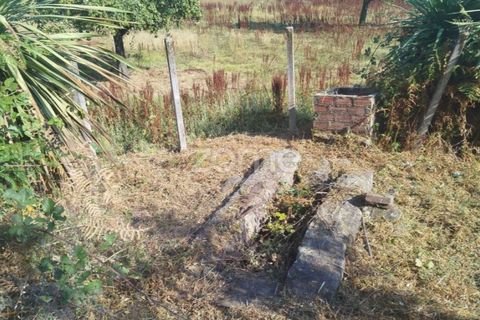 Helårsgrund i Mangualde, Viseu, Mangualde - € 67.500 | Ref: ZMPT580357 - foto 3