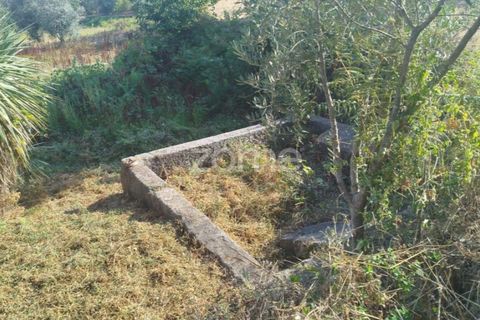 Helårsgrund i Mangualde, Viseu, Mangualde - € 67.500 | Ref: ZMPT580357 - foto 5