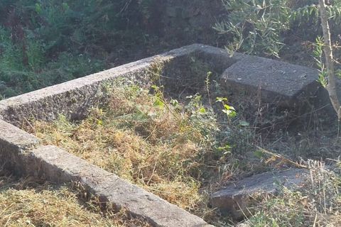 Helårsgrund i Mangualde, Viseu, Mangualde - € 67.500 | Ref: ZMPT580357 - foto 6