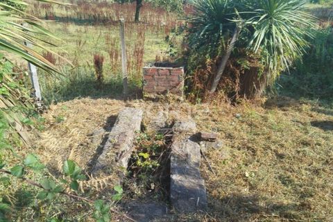 Helårsgrund i Mangualde, Viseu, Mangualde - € 67.500 | Ref: ZMPT580357 - foto 7