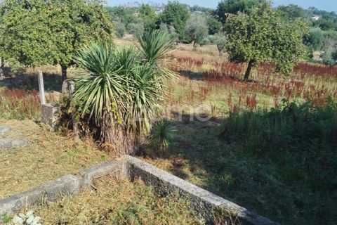 Helårsgrund i Mangualde, Viseu, Mangualde - € 67.500 | Ref: ZMPT580357 - foto 8