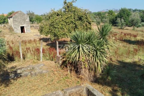 Helårsgrund i Mangualde, Viseu, Mangualde - € 67.500 | Ref: ZMPT580357 - foto 10