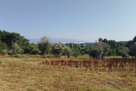 Helårsgrund i Mangualde, Viseu, Mangualde - € 67.500 | Ref: ZMPT580357 - foto 18