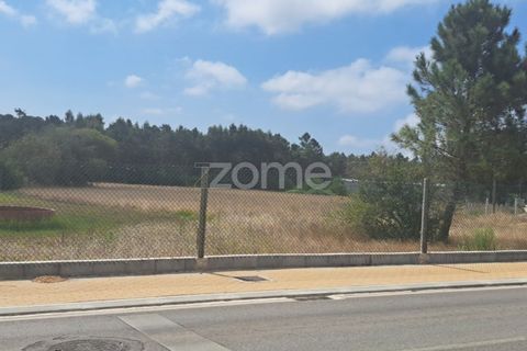 Helårsgrund i Cantanhede, Coimbra, Cantanhede - € 215.000 | Ref: ZMPT580346 - foto 2