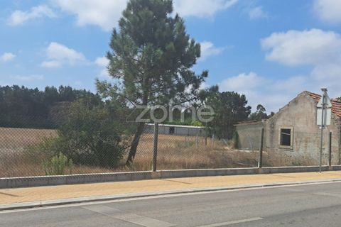 Helårsgrund i Cantanhede, Coimbra, Cantanhede - € 215.000 | Ref: ZMPT580346 - foto 3