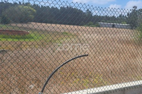 Helårsgrund i Cantanhede, Coimbra, Cantanhede - € 215.000 | Ref: ZMPT580346 - foto 4