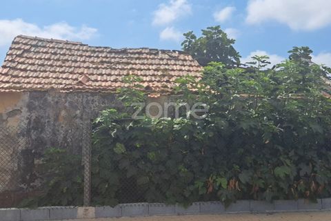 Helårsgrund i Cantanhede, Coimbra, Cantanhede - € 215.000 | Ref: ZMPT580346 - foto 5