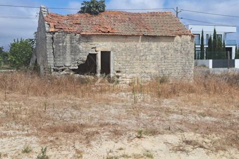 Helårsgrund i Cantanhede, Coimbra, Cantanhede - € 215.000 | Ref: ZMPT580346 - foto 7