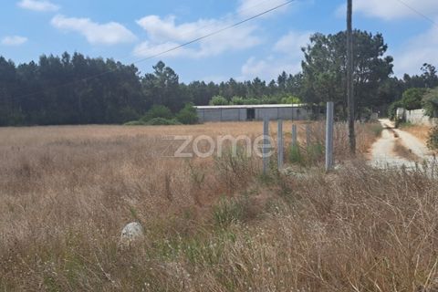 Helårsgrund i Cantanhede, Coimbra, Cantanhede - € 215.000 | Ref: ZMPT580346 - foto 9