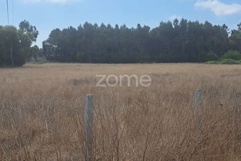 Helårsgrund i Cantanhede, Coimbra, Cantanhede - € 215.000 | Ref: ZMPT580346 - foto 10