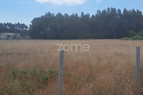 Helårsgrund i Cantanhede, Coimbra, Cantanhede - € 215.000 | Ref: ZMPT580346 - foto 11