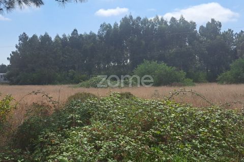 Helårsgrund i Cantanhede, Coimbra, Cantanhede - € 215.000 | Ref: ZMPT580346 - foto 12