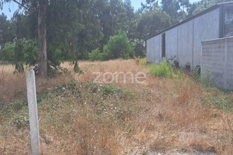 Helårsgrund i Cantanhede, Coimbra, Cantanhede - € 215.000 | Ref: ZMPT580346 - foto 13