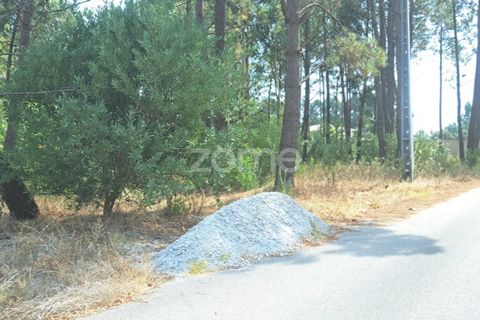 Helårsgrund i Cantanhede, Coimbra, Cantanhede - € 215.000 | Ref: ZMPT580346 - foto 14