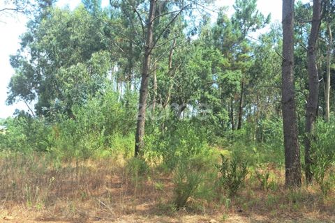 Helårsgrund i Cantanhede, Coimbra, Cantanhede - € 215.000 | Ref: ZMPT580346 - foto 15