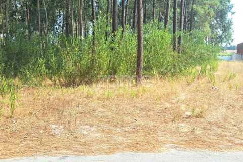 Helårsgrund i Cantanhede, Coimbra, Cantanhede - € 215.000 | Ref: ZMPT580346 - foto 16